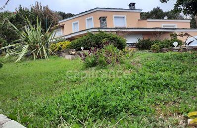 vente maison 1 155 000 € à proximité de Santa-Maria-Di-Lota (20200)