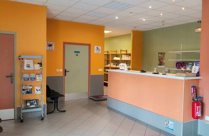 Ensemble immobilier. — photo 2