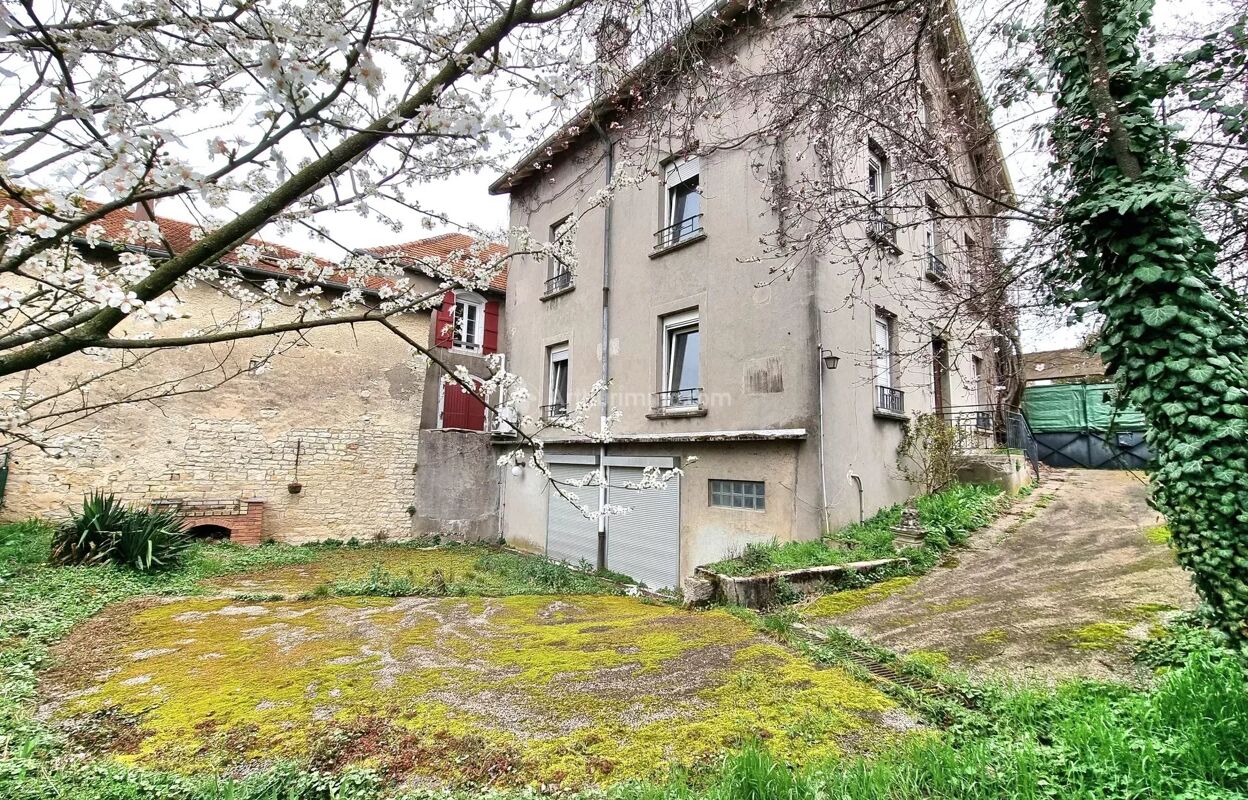 maison 10 pièces 239 m2 à vendre à Neufchâteau (88300)