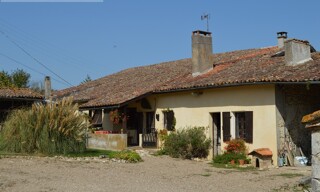 Photo N° 4