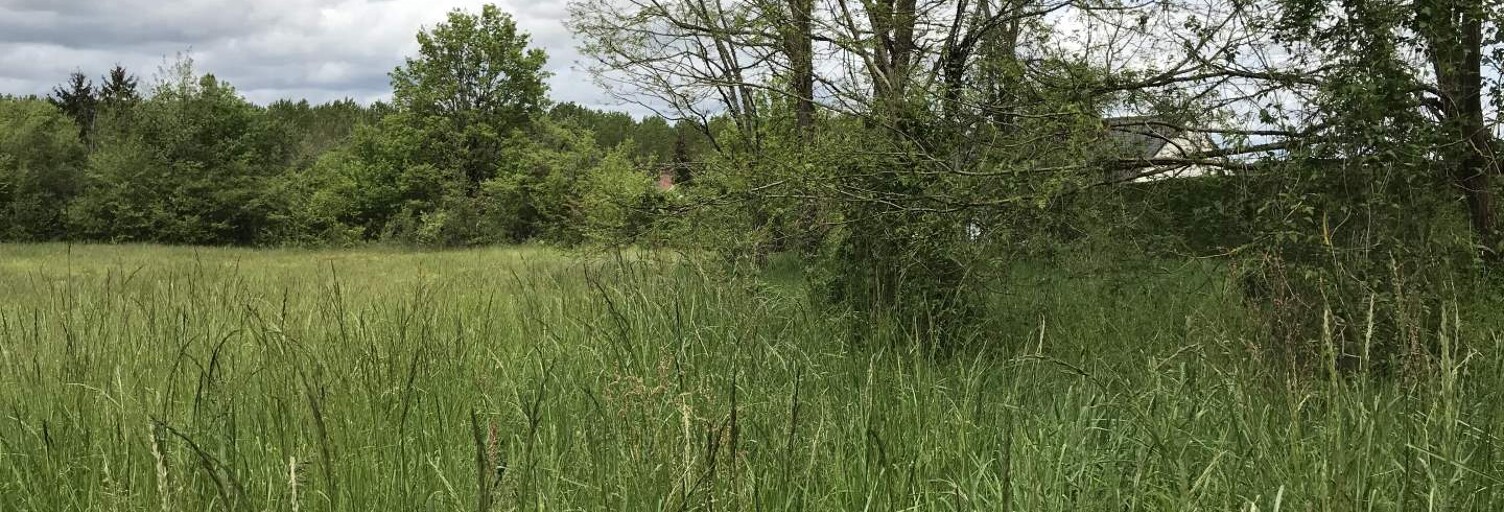 Terrain  849 m² à vendre à Saché (37190)