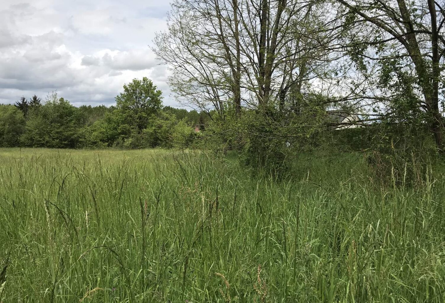 Vente terrain  849 m² Saché (37190) — photo 1