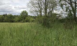 Terrain  849 m² à vendre à Saché (37190)