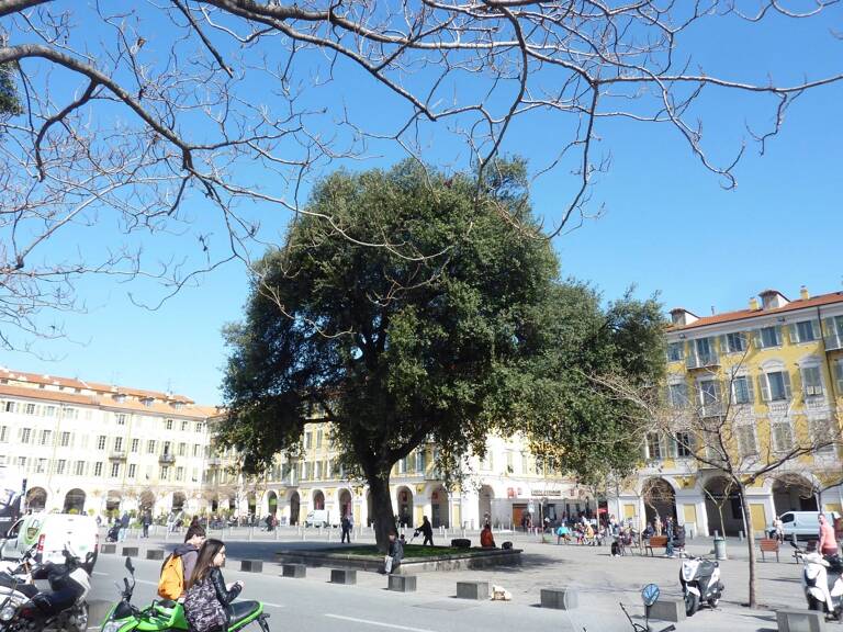 Grand studio meublé Place Garibaldi — photo 1
