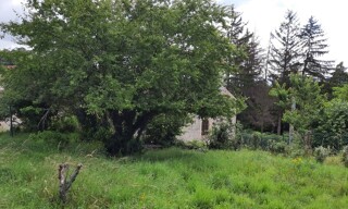Photo N° 4