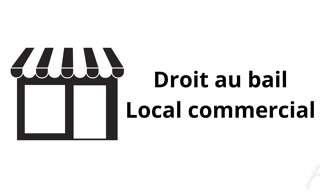 Commerce  50 m² à vendre à Grenoble (38000)