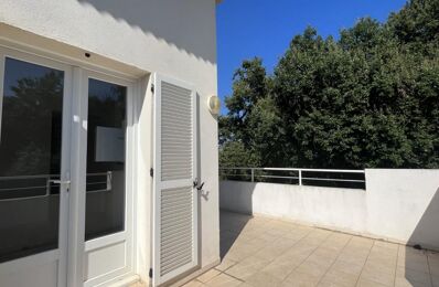 location appartement 600 € CC /mois à proximité de Cervione (20221)