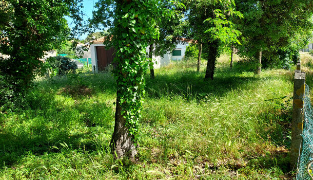 Terrain  à vendre Saint-Pierre-d'Oléron 17310