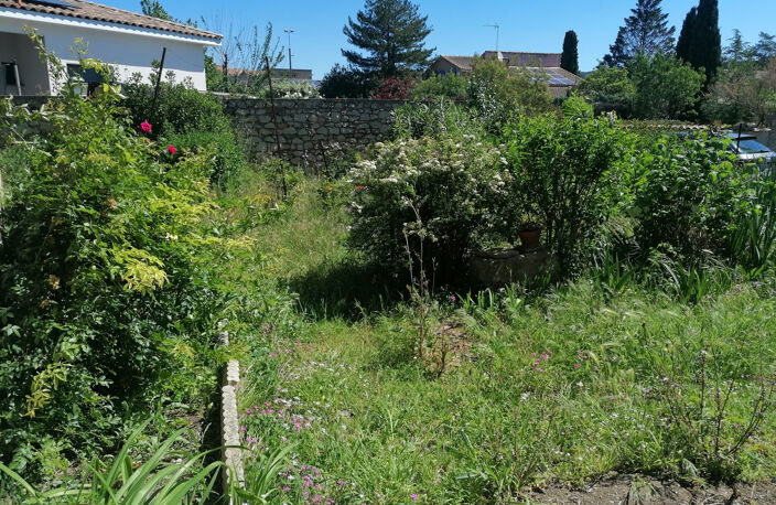 Vigneronne avec jardin , terrasse et garage à PLAISSAN — photo 4