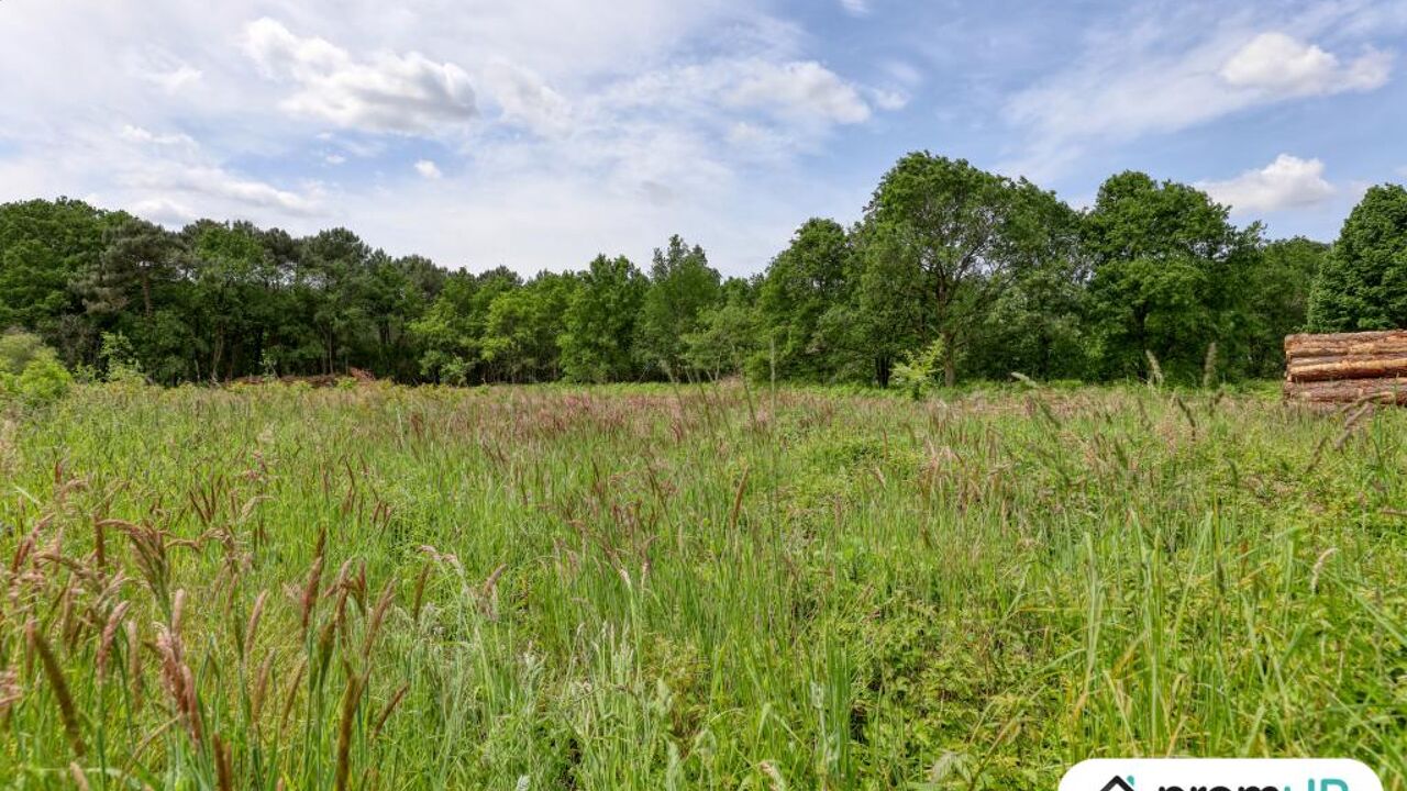 terrain  pièces 4000 m2 à vendre à Saint-Philbert-du-Peuple (49160)