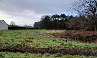 Terrain  4000 m² à vendre à Saint-Philbert-du-Peuple (49160)