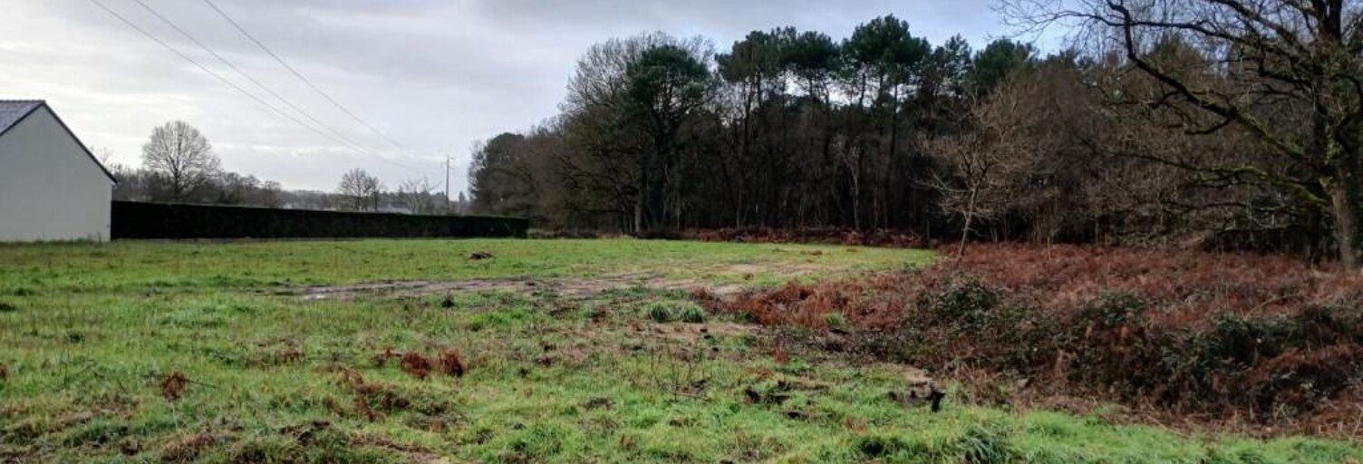 Terrain  4000 m² à vendre à Saint-Philbert-du-Peuple (49160)