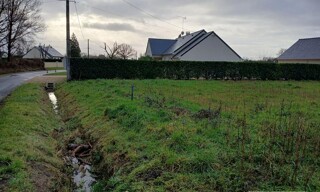Photo N° 4