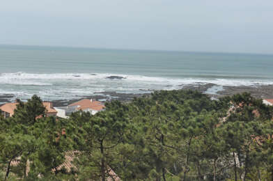 Appartement 1 pièces 543 €