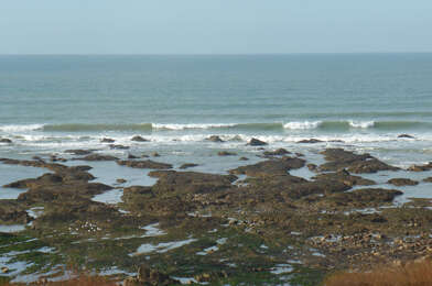 Appartement 3 pièces 883 €