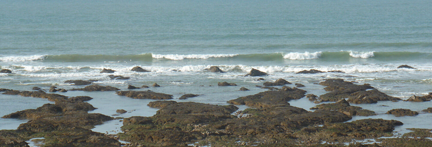 location vacances Appartement 3 Pièces 66 m² à Les Sables-d'Olonne (85100)