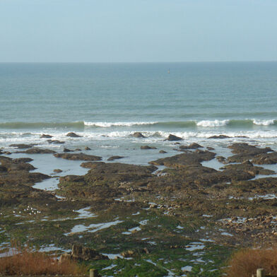 Appartement 3 pièces 883 €