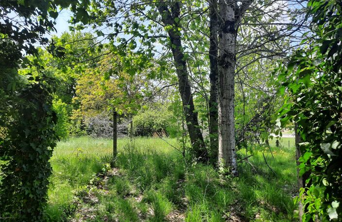 Grande maison avec terrain au coeur de Marcolès, petite cité de caractère. — photo 5