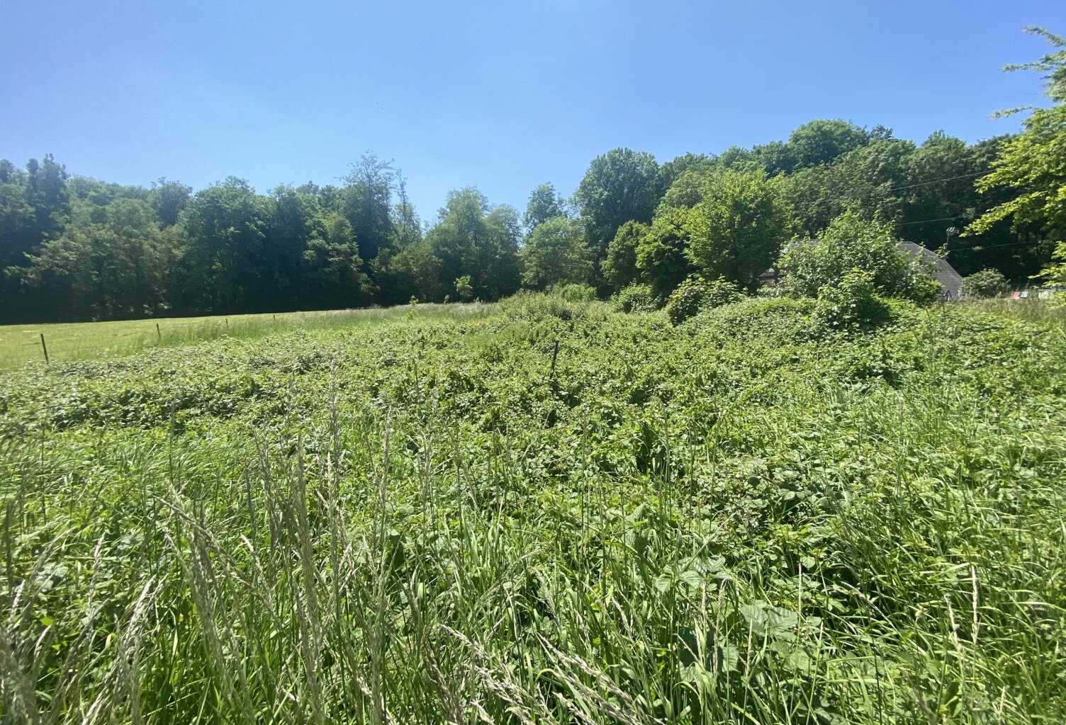 AUBENTON — photo 1