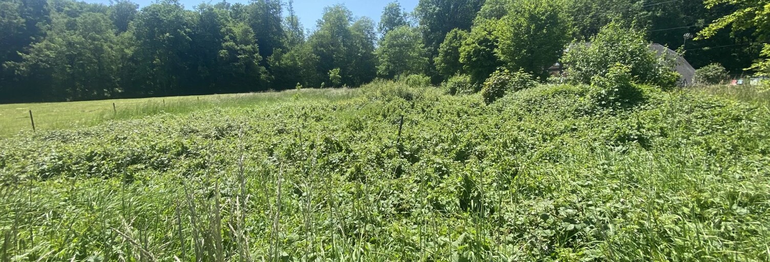 Terrain  2000 m² à vendre à Aubenton (02500)