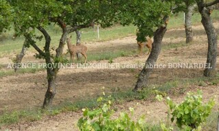 Photo N° 3