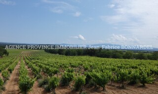 Photo N° 4