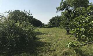 Terrain  1322 m² à vendre à Verdille (16140)