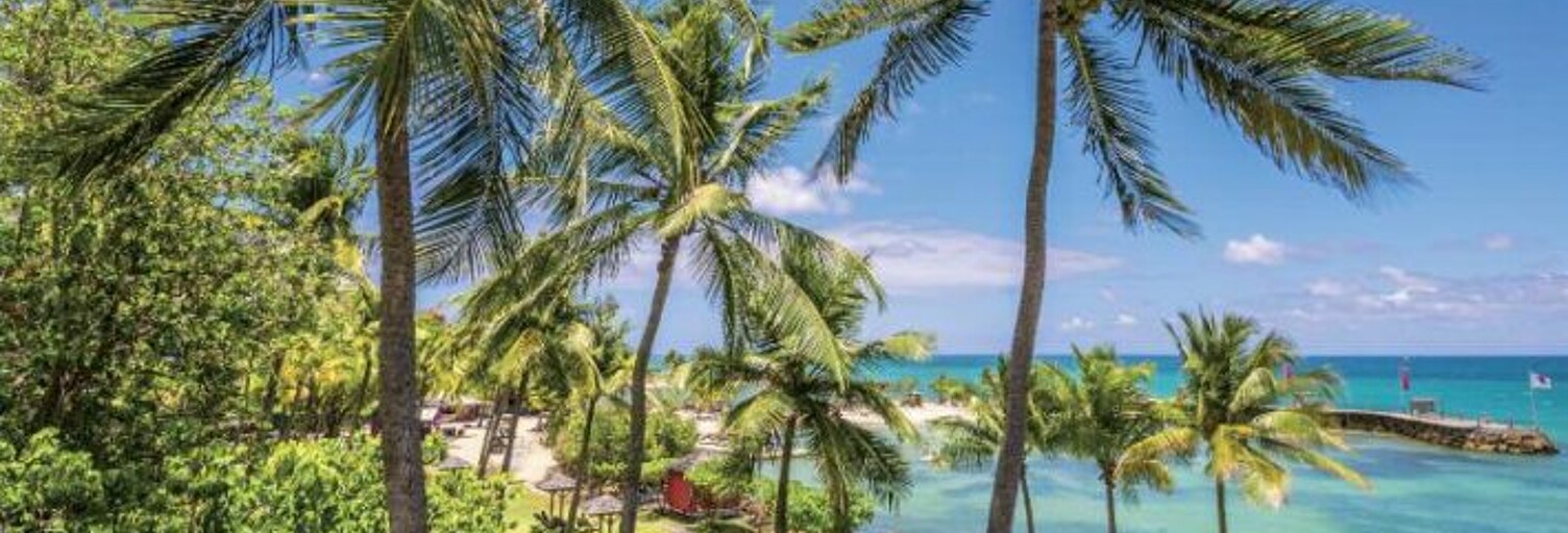 location vacances Appartement 1 Pièce 67 m² à Le Gosier (97190)