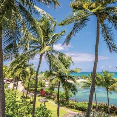 Appartement 1 pièces 2824 €