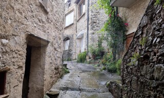 Photo N° 9