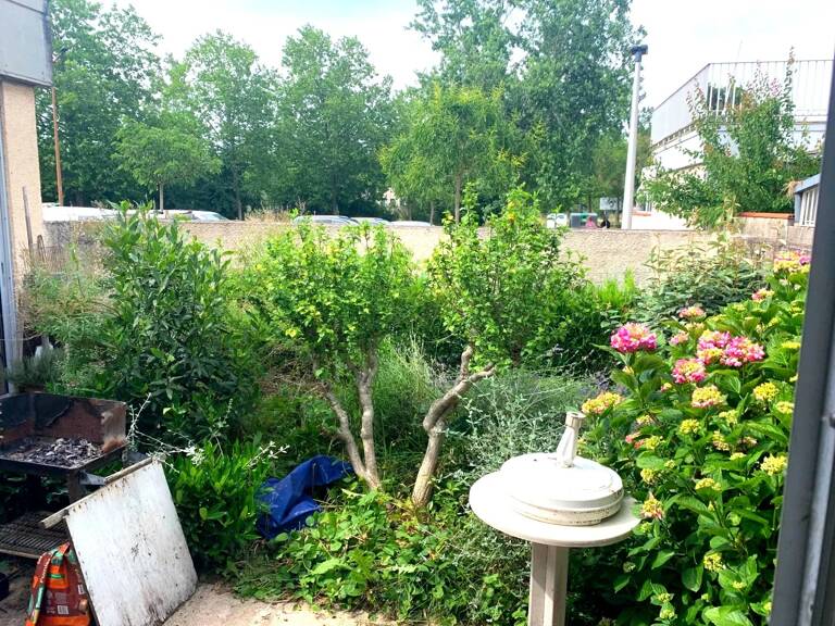 Toulouse / Basso Cambo — photo 1
