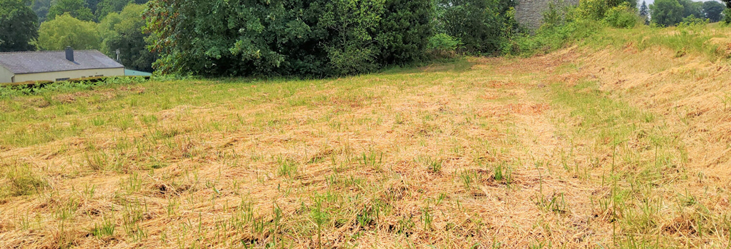 Terrain  800 m² à vendre à Cléguérec (56480)