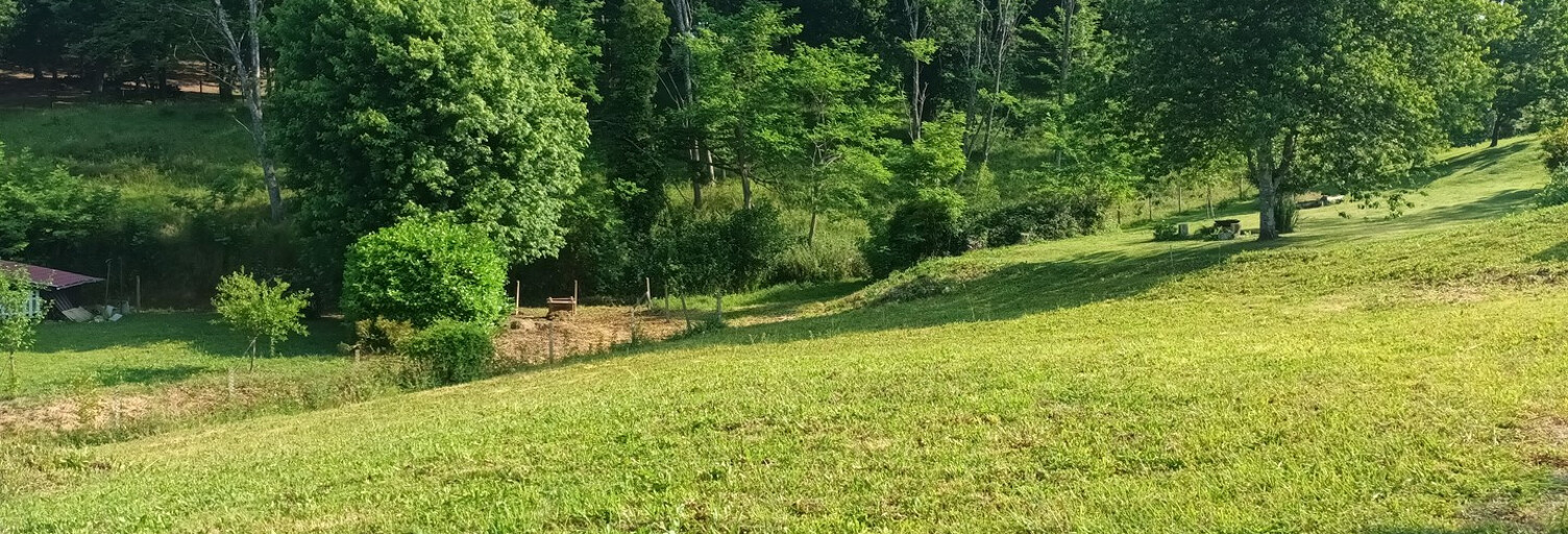 Terrain  739 m² à vendre à Salies-de-Béarn (64270)