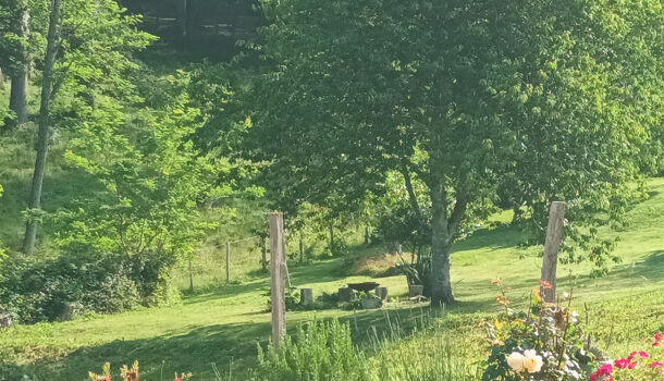 Terrain  à vendre Salies-de-Béarn 64270