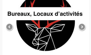 Commerce  365 m² à vendre à Lyon 9 (69009)