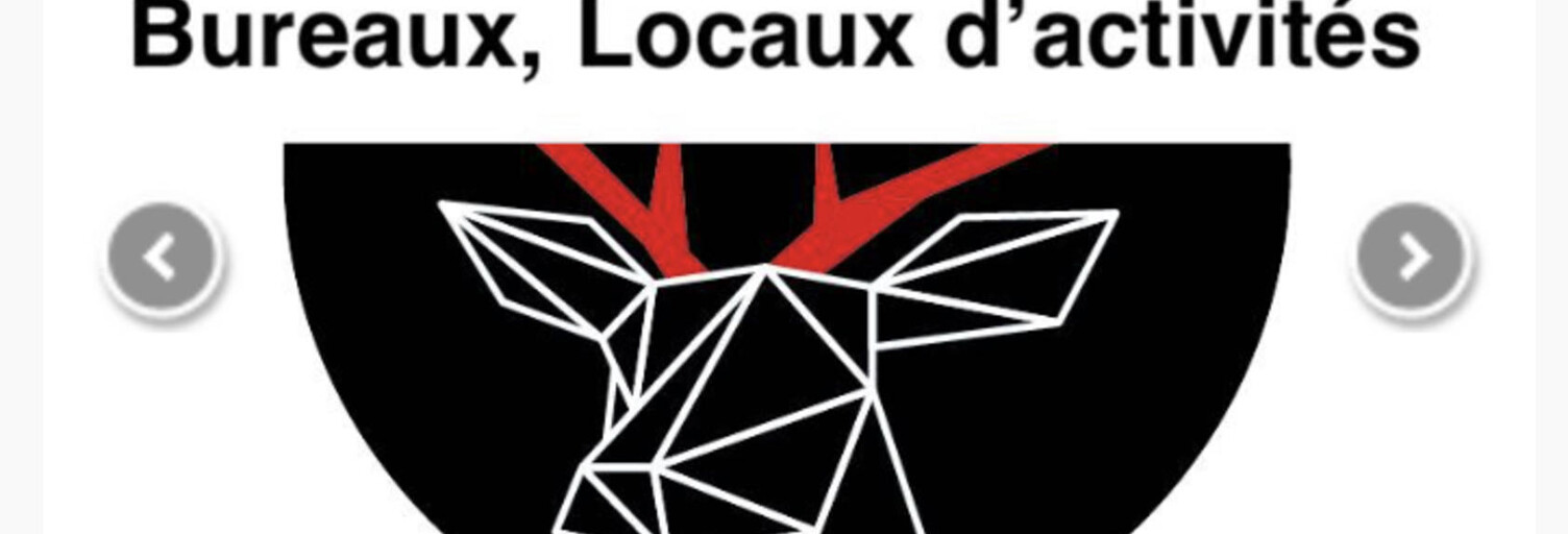 Commerce  365 m² à vendre à Lyon 9 (69009)