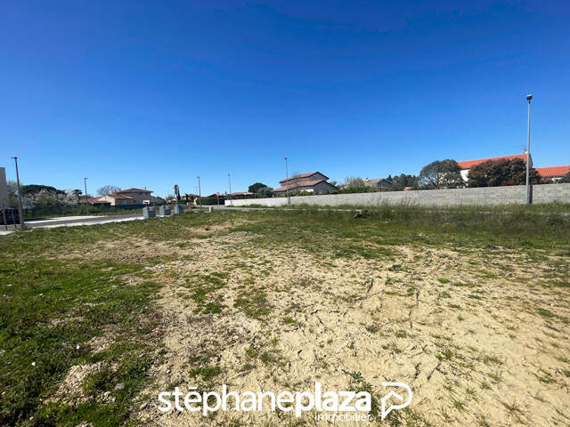 Plaza Immobilier - Plaisance du Touch - Beau terrain plat - Viabilisé - Libre de tout constructeur- — photo du bien