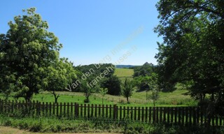 Photo N° 4