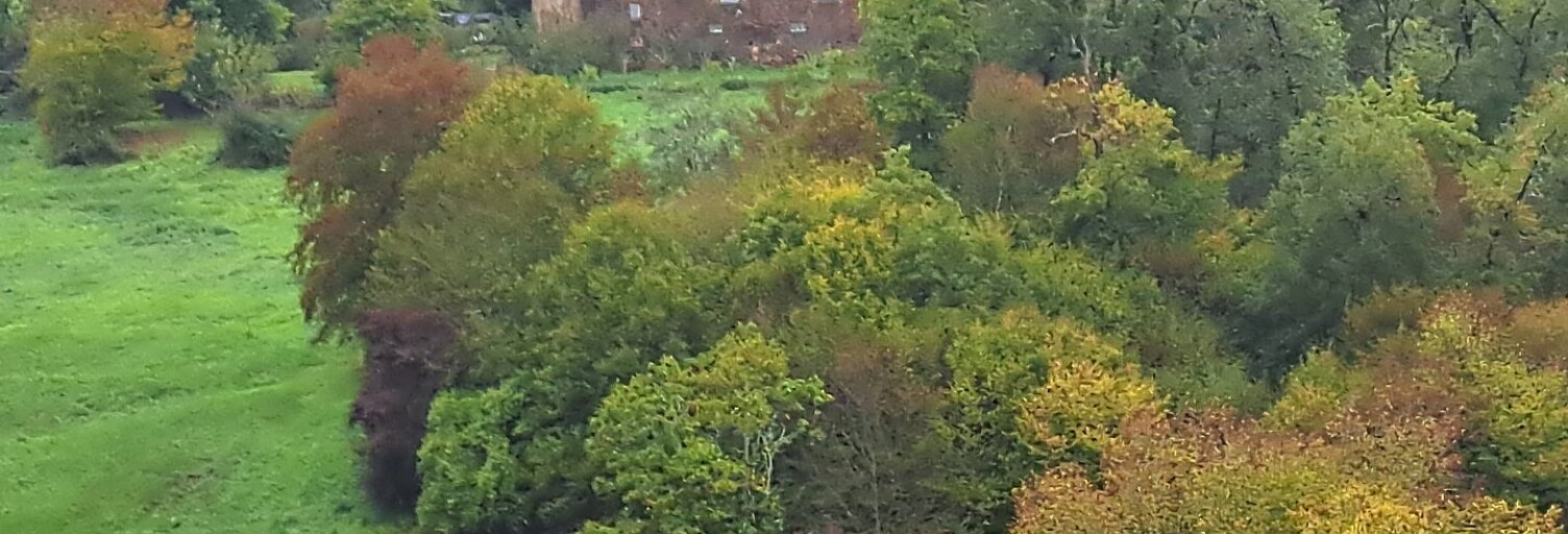 Maison 7 Pièces 485 m² à vendre à Louignac (19310)