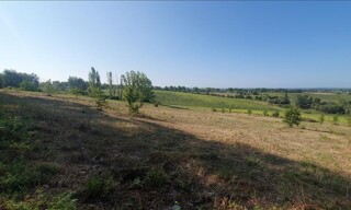 Photo N° 5