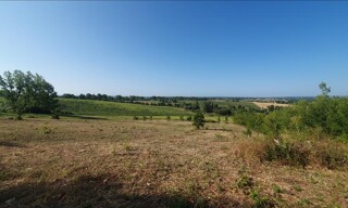Photo N° 6