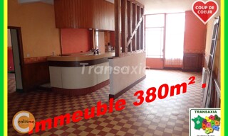 Maison 8 Pièces 380 m² à vendre à Mehun-sur-Yèvre (18500)