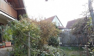 Photo N° 9