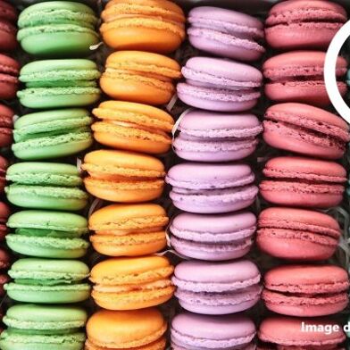 Commerce  252000 €