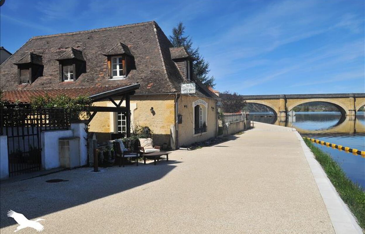 maison 21 pièces 500 m2 à vendre à Mauzac-Et-Grand-Castang (24150)