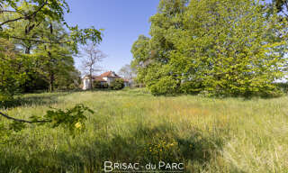Photo N° 5