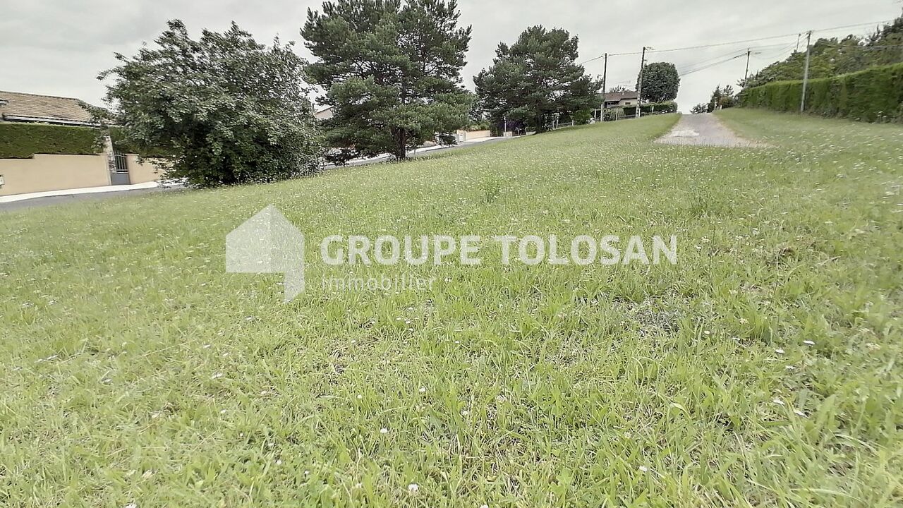 terrain  pièces 550 m2 à vendre à Montrabé (31850)