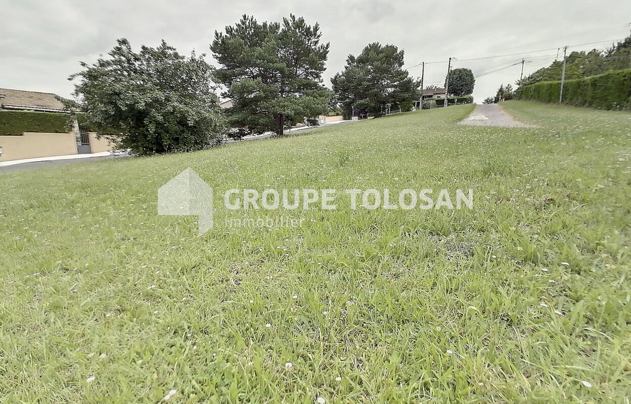 terrain  pièces 550 m2 à vendre à Montrabé (31850)