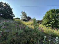 EXCLUSIVITE - TERRAIN CONSTRUCTIBLE - 42540 — photo 2