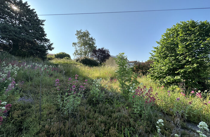 EXCLUSIVITE - TERRAIN CONSTRUCTIBLE - 42540 — photo 2